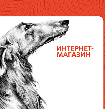 В интернет магазин