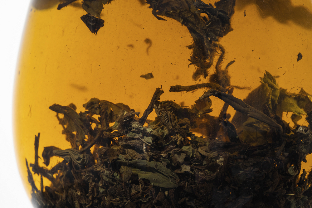 Яблони и груши